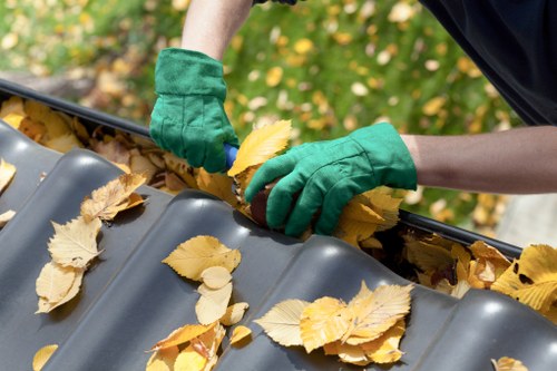 Domestic skip hire for home clear-outs and renovation waste